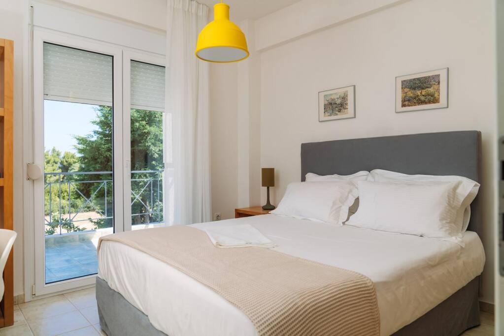 Villa Olion 阿菲托斯 外观 照片